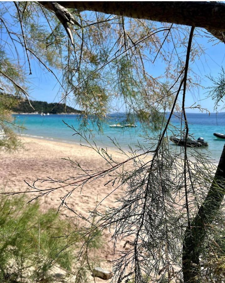 Le Lavandou "Cavaliere" -Rez De Jardin Bord De Mer , Atom Exteriör bild